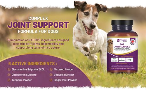 Dog Joint Support | 150 Chicken Chewable Tablets | 5-Month Supply | UK-Made by Prowise