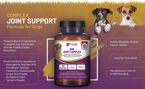 Dog Joint Support | 150 Chicken Chewable Tablets | 5-Month Supply | UK-Made by Prowise