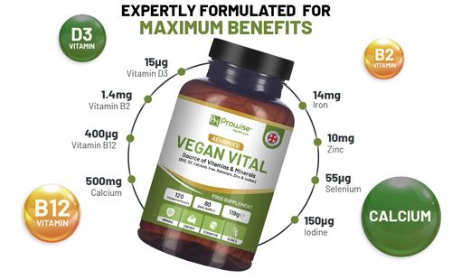 Prowise Vegan Vital Multivitamin & Mineral Complex – 120 Capsules - 2 Month Supply