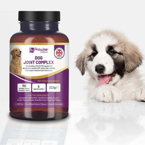 Dog Joint Support | 150 Chicken Chewable Tablets | 5-Month Supply | UK-Made by Prowise