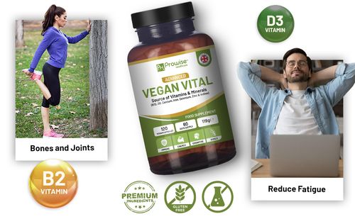 Prowise Vegan Vital Multivitamin & Mineral Complex – 120 Capsules - 2 Month Supply